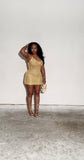 Gold Mesh Mini